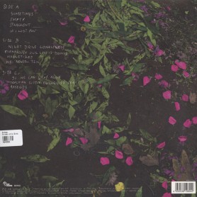 Strange Little Birds 2LP