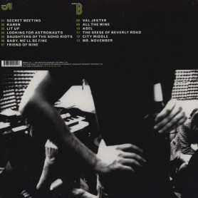 Alligator LP vinil