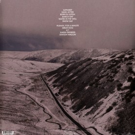 Drunk Tank Pink LP (galaxy...