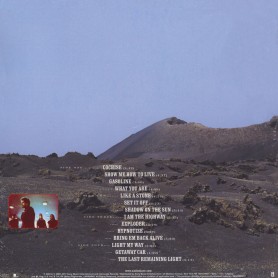 Audioslave 2LP vinyl