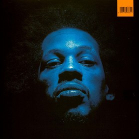 Supreme NTM LP vinil