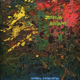 Natural Information LP vinyl