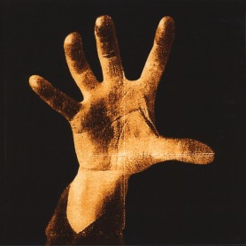 System Of A Down LP vinyl
