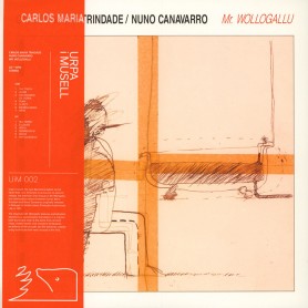 Mr. Wollogallu LP vinil
