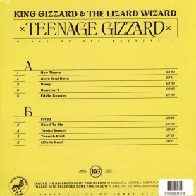 Teenage Gizzard LP