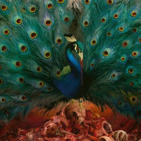 Sorceress LP