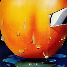 Acquiring The Taste LP