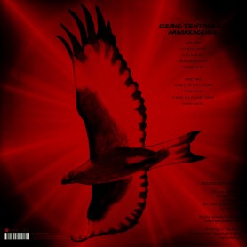 Arborescence LP