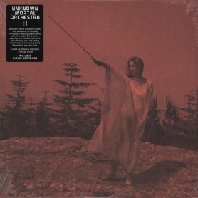 II LP vinil