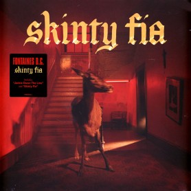 Skinty Fia LP vinil