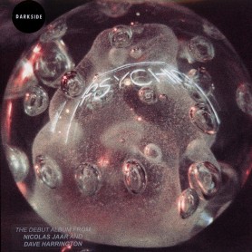 Psychic 2LP vinyl