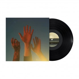 The Record LP vinil