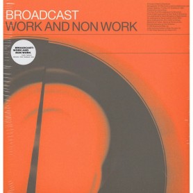 Work And Non Work LP vinil