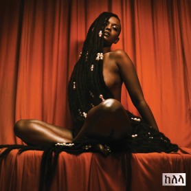 Take Me Apart 2LP...