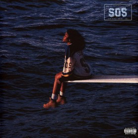 SOS 2LP vinil