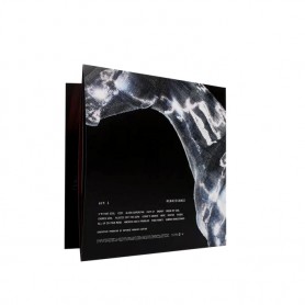 Renaissance 2LP