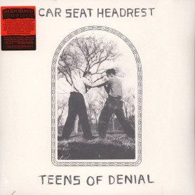 Teens Of Denial 2LP vinil