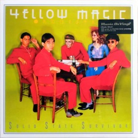 Solid State Survivor LP vinyl