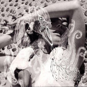 Vespertine 2LP vinil