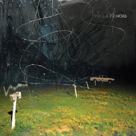 This Stupid World 2LP vinil