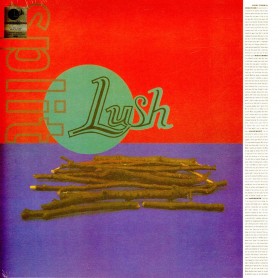 Split LP vinyl
