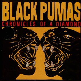 Chronicles Of A Diamond LP