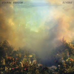 Divers 2LP vinyl