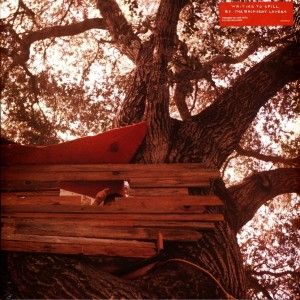 Waiting to Spill LP vinil