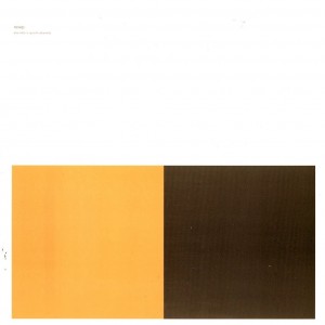 Revep LP vinyl