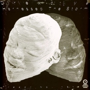 Harnessed The Storm 2LP vinil