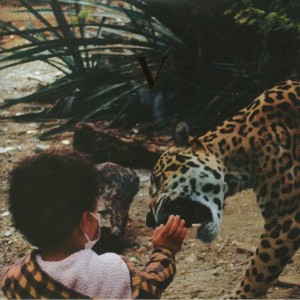 V 2LP vinyl