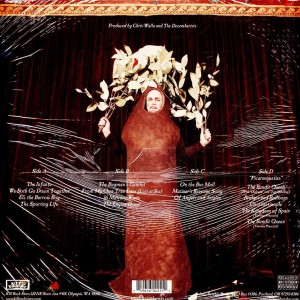 Picaresque 2LP