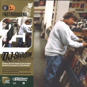 Endtroducing..... 2LP (half...