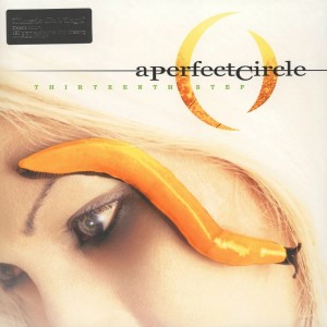 Thirteenth Step 2LP vinyl