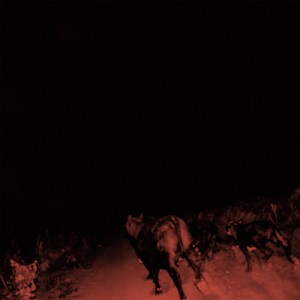 Shadow On Everything LP vinil