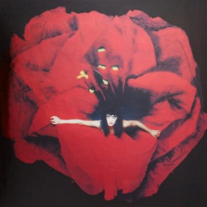 Adore 2LP vinil