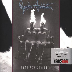 Nothing's Shocking LP vinyl