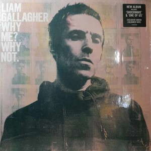 Why Me? Why Not. LP vinyl