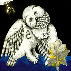 The Magnolia Electric Co...