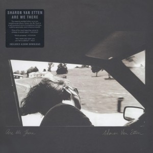 Are We There LP vinil