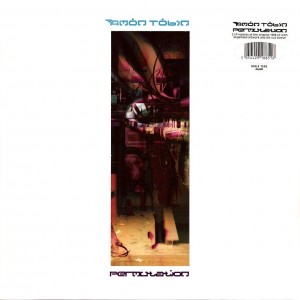 Permutation 2LP vinil