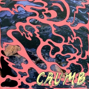 Crumb / Locket 2LP vinyl