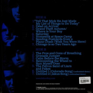 Take This To Your Grave LP...