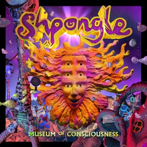 Museum Of Consciousness 2LP...