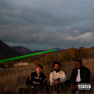 Injury Reserve LP vinil