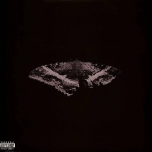 To Pimp A Butterfly 2LP...
