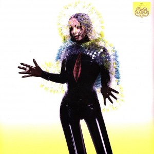 Vulnicura LP vinyl