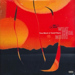 What Kinda Music 2LP vinyl